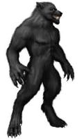 werewolf | Chelsea Scrolls