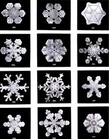 snowflake | Chelsea Scrolls