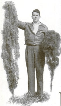 speaking of hair...really?