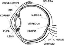 kinda awkward to point to nothing