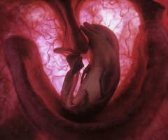 look who's not talking