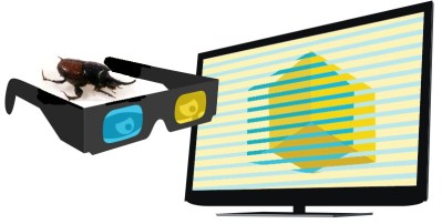 polarized light | Chelsea Scrolls