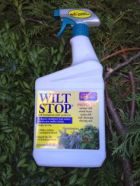 Wilt Stop. Keep your xmas tree alive the way the ancients did, with this bottle of water. Now in a spray!