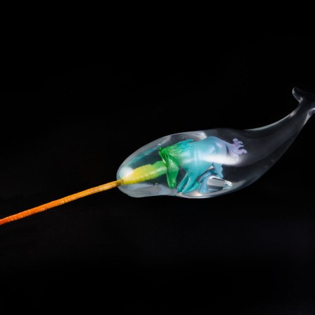 rainbow narwhale unicorn