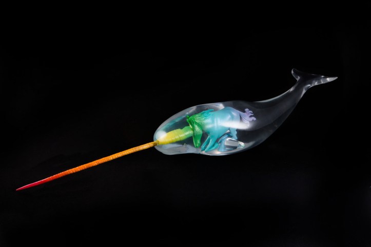 rainbow narwhale unicorn