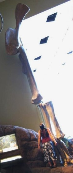 The front leg of a brachiosarus. Neck not included. Me at bottom for scale.