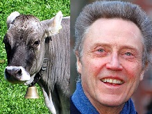 cowbell and christopher walken