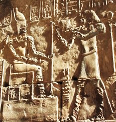 Walk like a (rabid) Egyptian