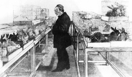 Louis Pasteur with rabbits