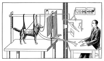 pavlov experiment