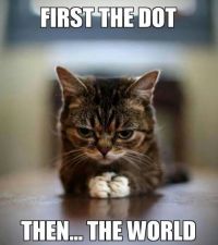 lol cat laser toy | Chelsea Scrolls