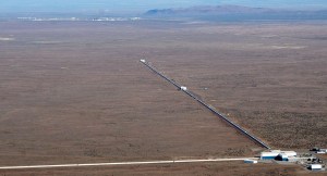 LIGO | Chelsea Scrolls