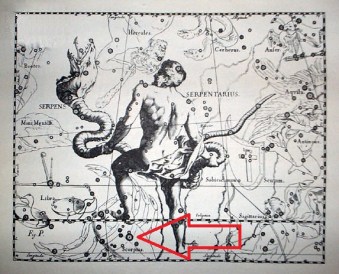 ophiuchus and scorpio | Chelsea Scrolls