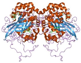 catalase | Chelsea Scrolls